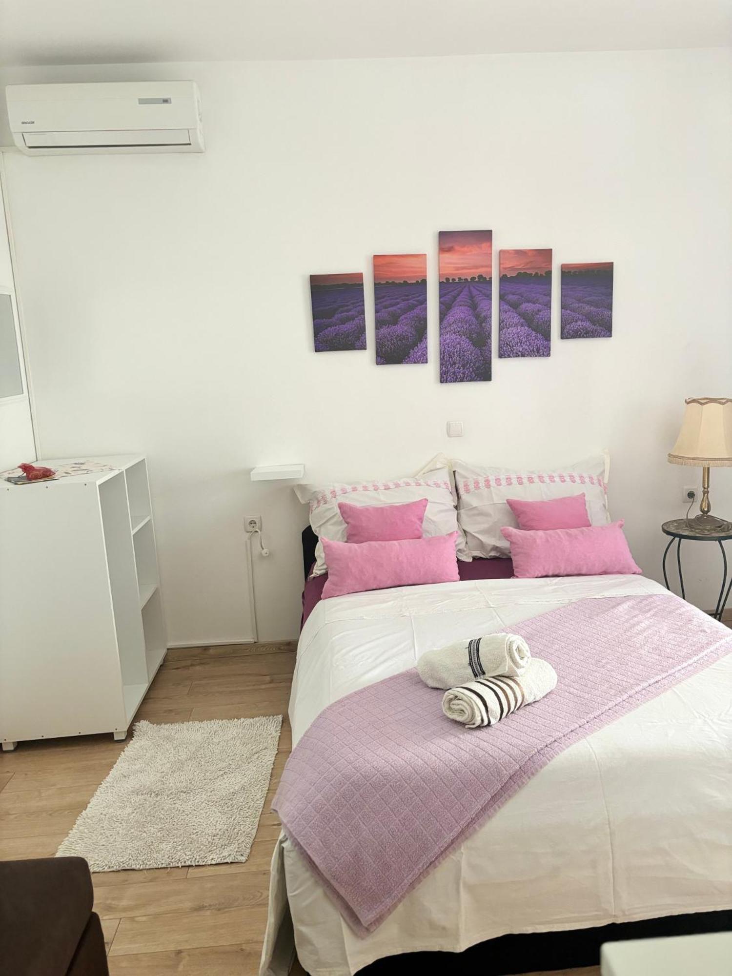 Apartments Ivana 比比涅 外观 照片
